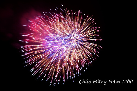 Should say "Chúc mừng Năm Mới" - Happy Vietnamese New Year