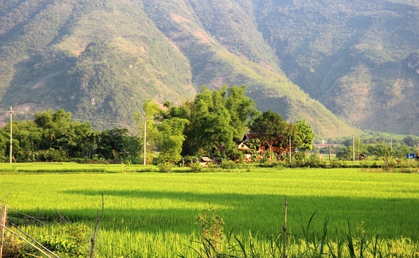 The Landscape in Mai Chau