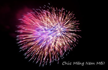 Should say "Chúc mừng Năm Mới" - Happy Vietnamese New Year